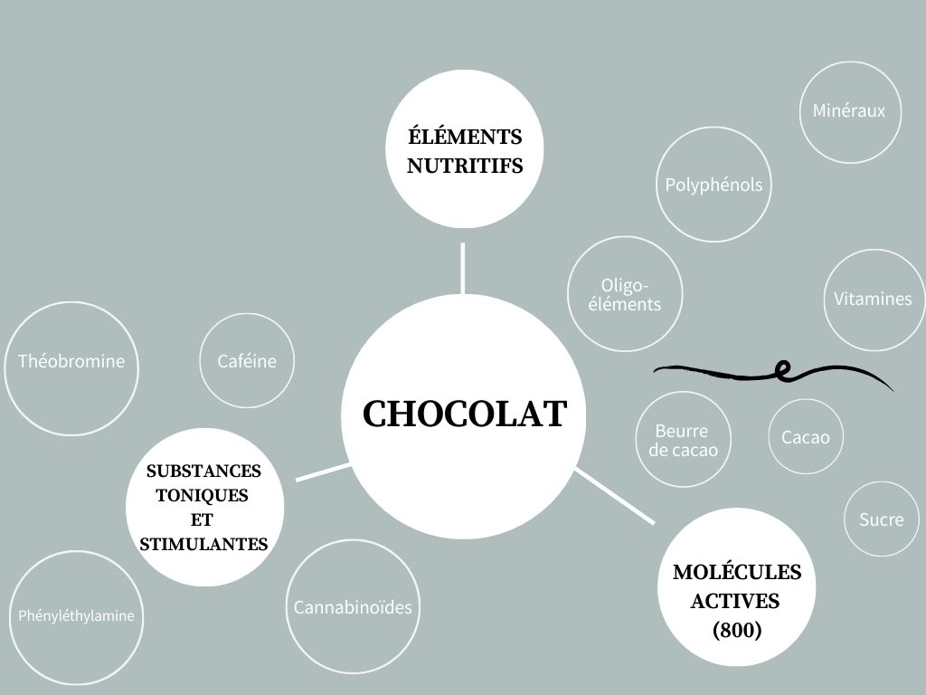 infographie sur les ingrédients du chocolat