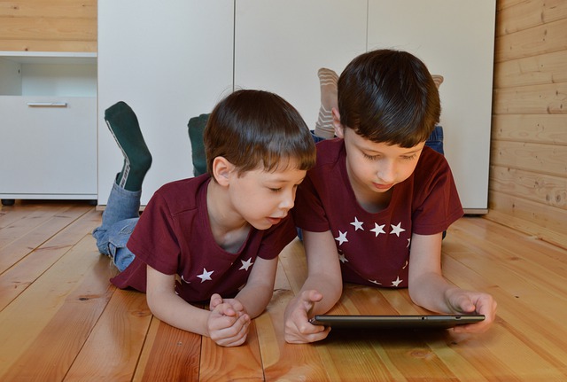 Deux petits garçons regardent quelque chose sur une tablette