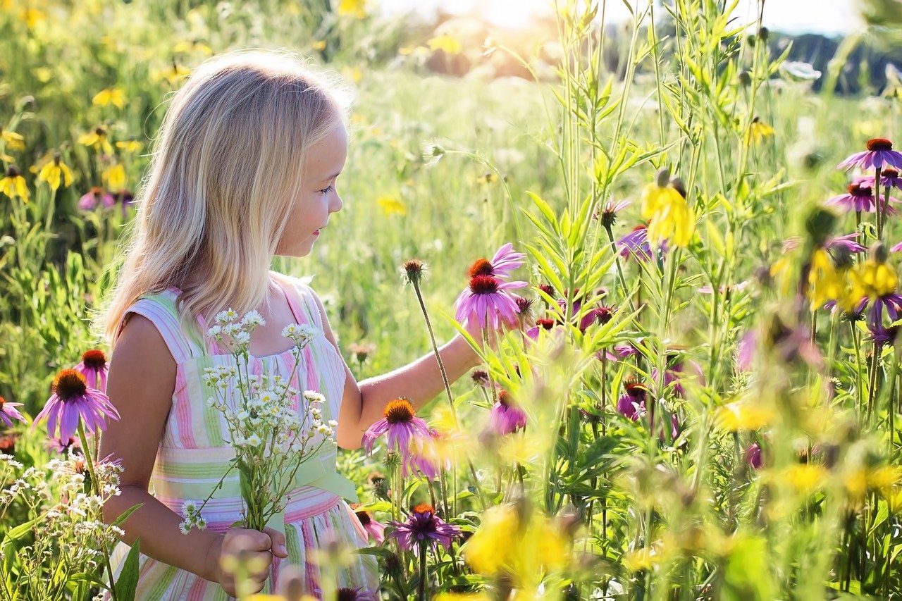 Une petite fille au milieu d'un champ de fleurs