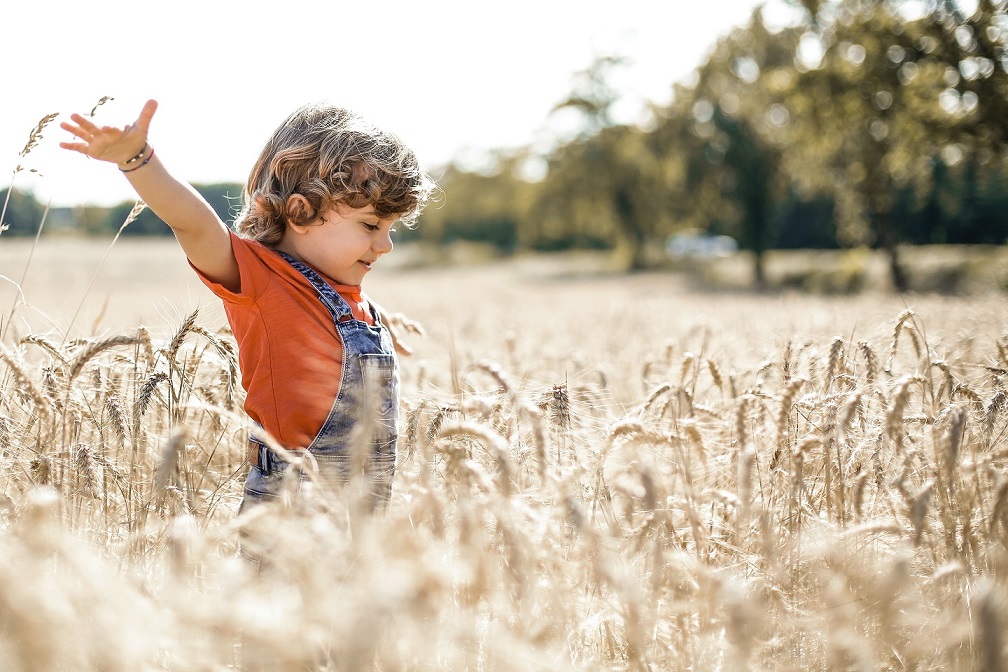 Un petit garçon joue dans un champ de blés