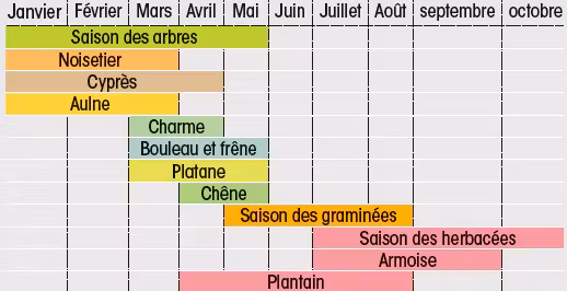 Calendrier pollinique