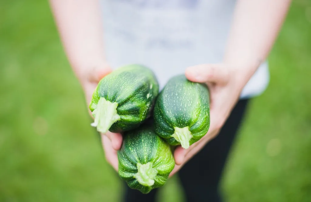 Un enfant tient des courgettes
