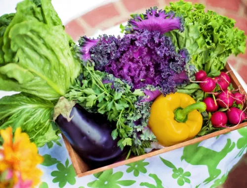 Cagette de fruits et légumes