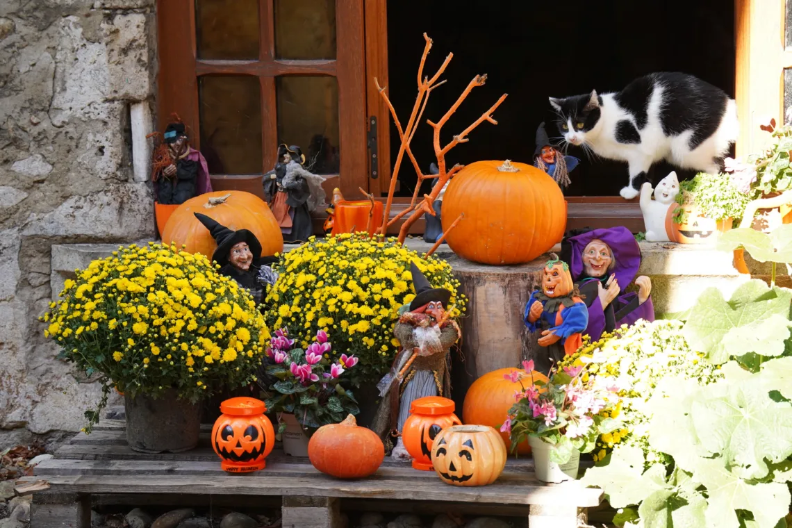 Décoration halloween