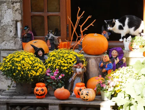 Décoration halloween