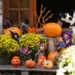 Décoration halloween